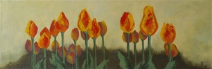 Tulipes