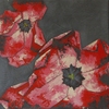 Tulipes 3