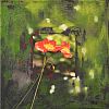 Coquelicot IV